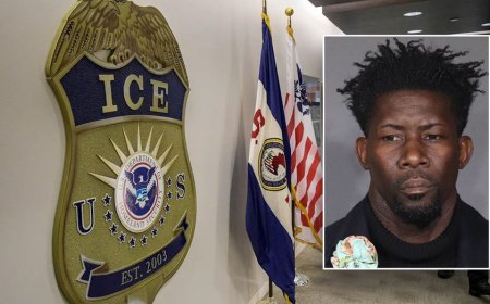 Illegal alien arrested by ICE found registered as active Democrat voter in blue state