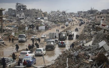 特朗普的加沙和平计划受到阿拉伯、伊斯兰国家和西方国家的欢迎