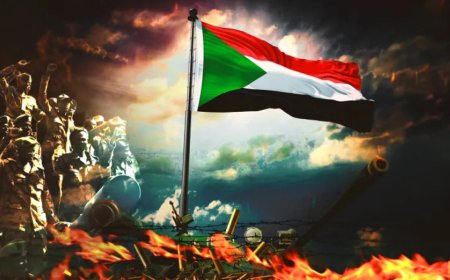 谁在烧毁世界粮仓？