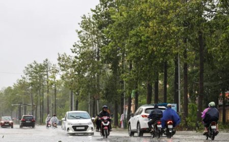 台风“博罗依”在越南登陆，造成数人死亡、失踪