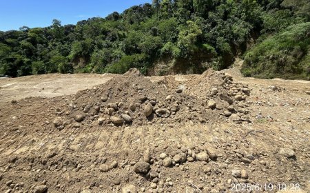 大樹統嶺山林遭剃頭光禿一片　2人聲押1人竟是前檢察官