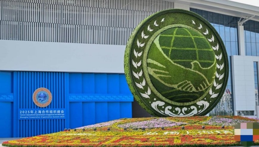 上合组织加快成立“四个安全中心”,为成员国安全提供更有力支撑