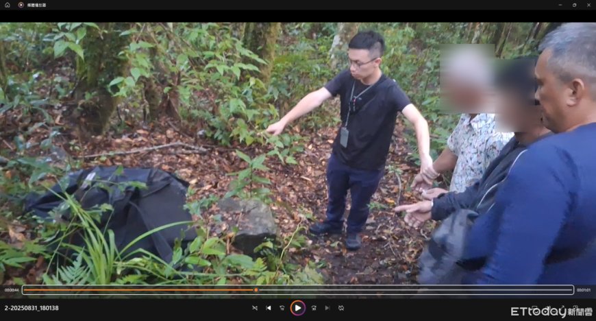 警攔錯車2山老鼠溜了！保七2天後四稜溫泉逮人　珍貴肖楠藏溪邊