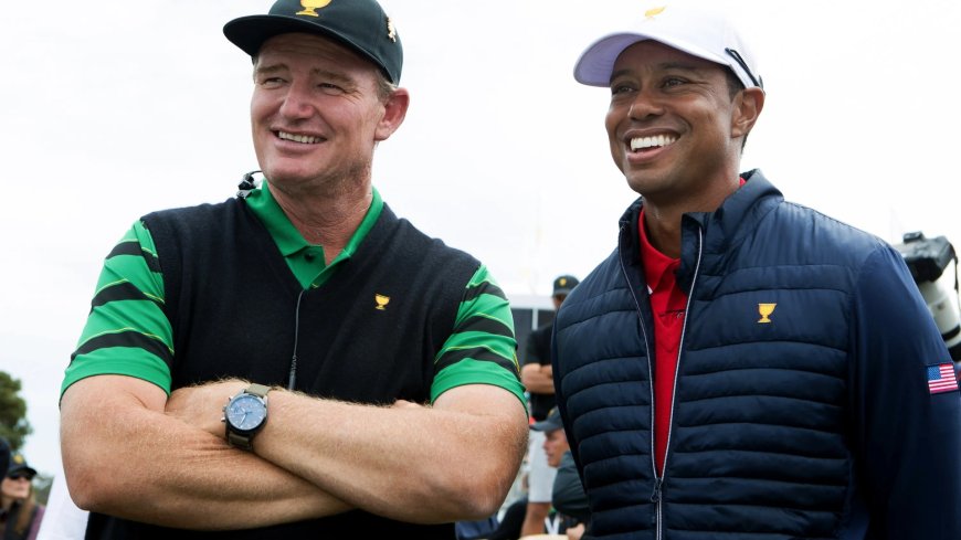 ‘If you can’ – Tiger Woods challenged to make golf comeback in brand new setting