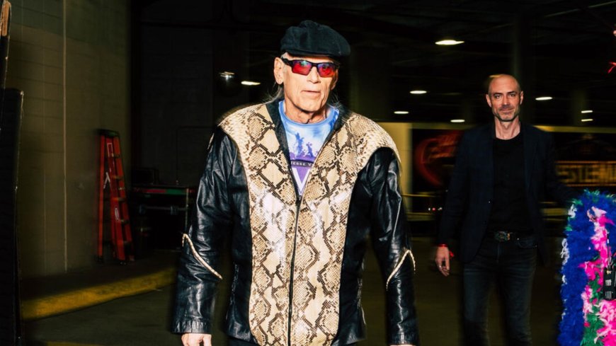 I sued WWE and won $800k before making stunning comeback after 40 years