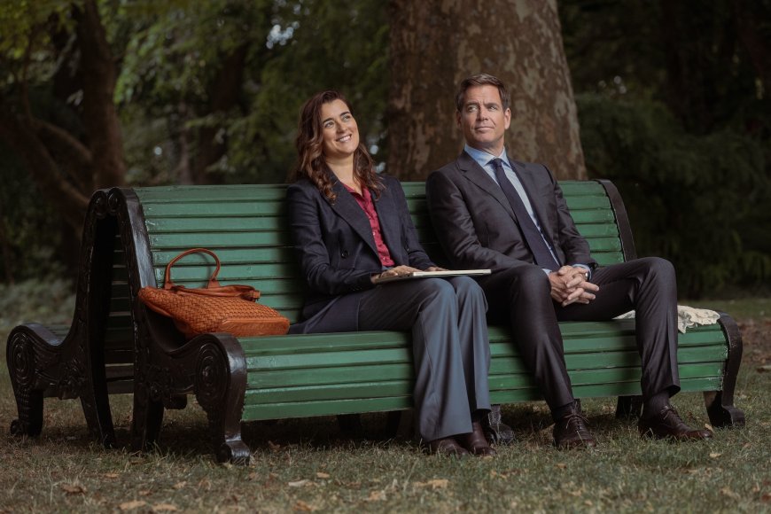 Michael Weatherly and Cote de Pablo Defend 'NCIS: Tony and Ziva' Breakup