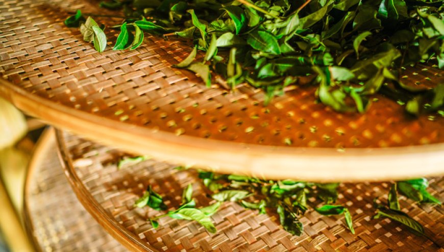 筹备上市的八马茶业发现熟客不够用了