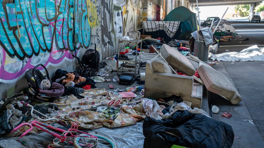Oakland Democratic councilman faces resistance after he proposes plan to shut down homeless encampments