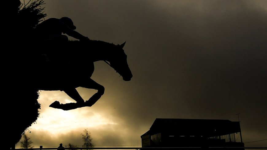 &#8220;We&#8217;re in trouble&#8221; &#8211; Horse racing strikes making history as industry rallies over tax hike