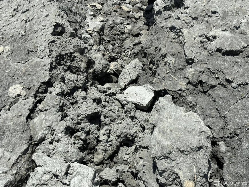 高雄「農地淪垃圾場」連環爆　嚴查嚴辦！陳其邁：全移送檢調