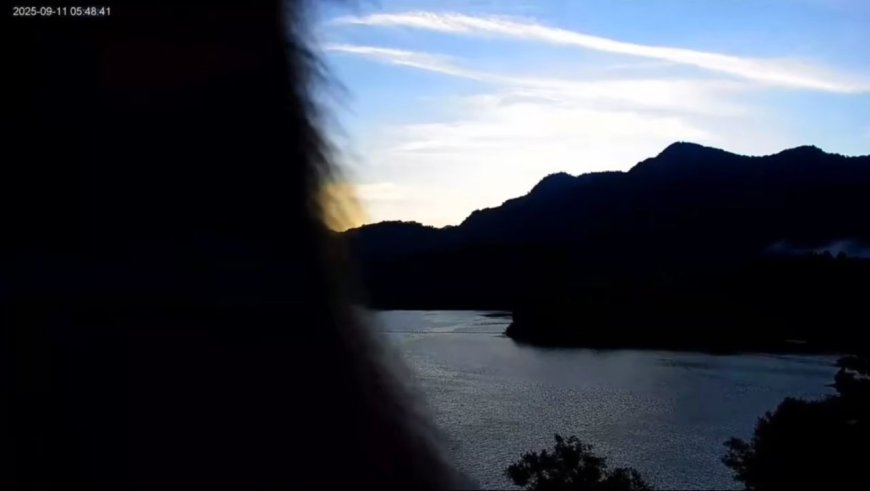 曾文水庫鏡頭君遭「猴死囡仔」巴頭　兇手留下毛茸茸犯罪證據