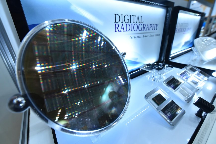 8 月台灣出口規模反超南韓 0.9 億美元　財政部：數十年半導體產業耕耘的成果