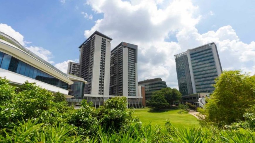 全球最难申请的十所大学:学费、就业率和投资回报率