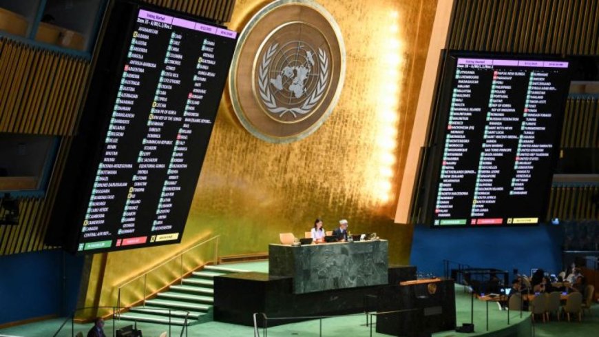 联合国大会:就国际问题进行讨论的全球性平台