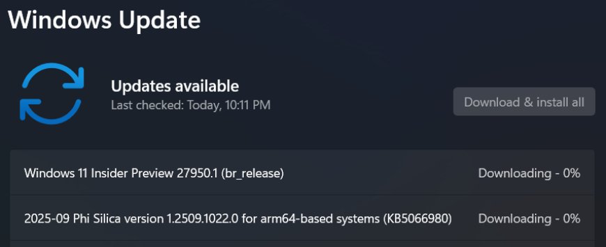 微软推 Win11 Canary 27950 预览版:撤回更名“高级”设置,修复屏幕闪烁问题