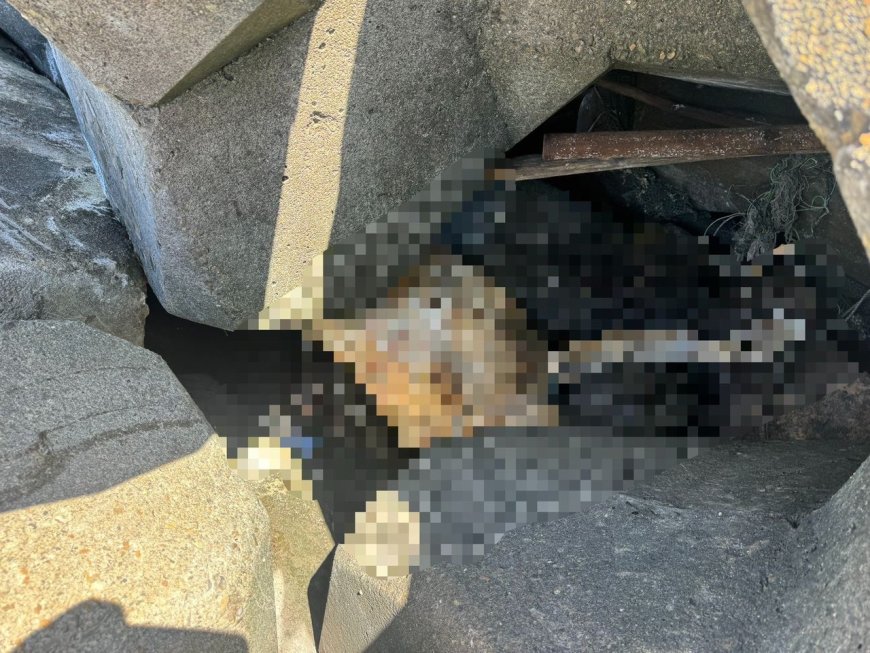 彰濱海堤驚見「白色腳掌」遊客撿貝殼嚇壞　疑為失蹤56天男子