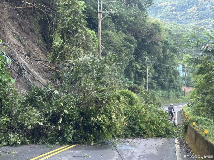 苗124線33.5K處路樹倒塌！佔據2車道　南庄警緊急排除