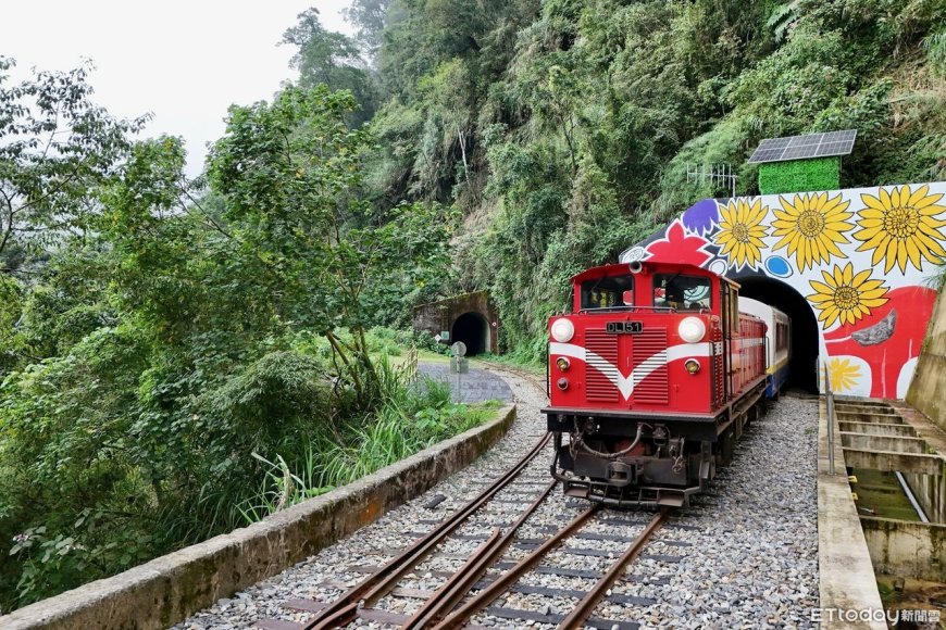 「樺加沙」逼近！阿里山林鐵9/22部分班次停駛　9/23-24全線停駛