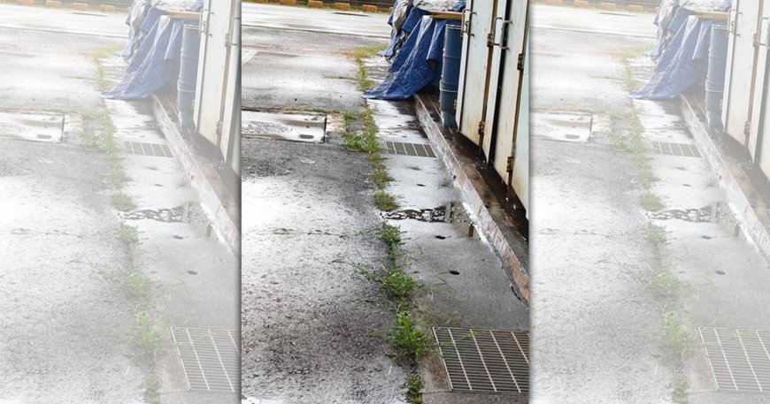 工程師遭主管「逼拔雜草」　悲慘下場曝