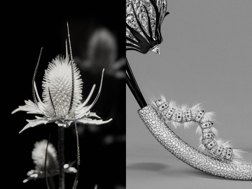 薊草「縫」滿鑽石、白金毛毛蟲很「毛」　BOUCHERON高級珠寶手法超狂