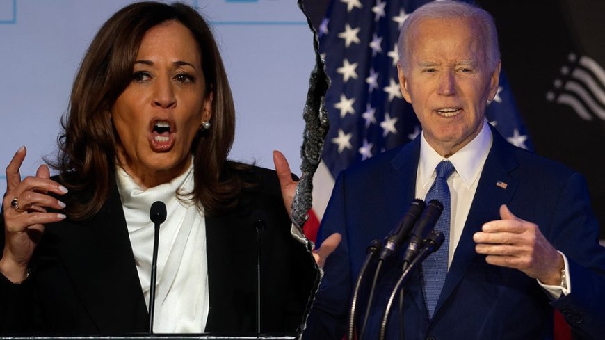 Kamala Harris breaks silence on Biden dropout, admits she has regrets about her handling of situation