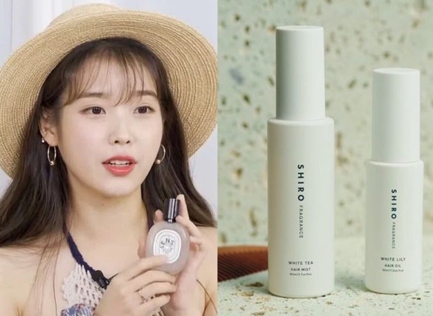 2025好評「髮香噴霧」盤點　IU同款乾淨清新、Innisfree好感度高