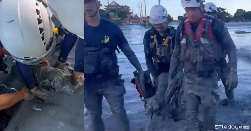 泥濘中「露出一顆頭」！狗困黑泥險滅頂…隊員手挖40分鐘救出