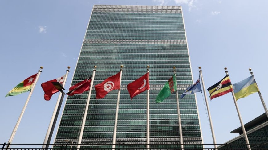 Trump administration official physically assaulted at UNGA by 'deranged leftist,' White House says