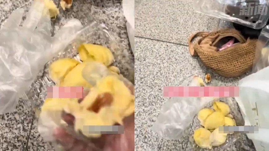 上不了飛機！陸客「10分鐘吃7斤榴蓮」：放屁都是榴蓮味