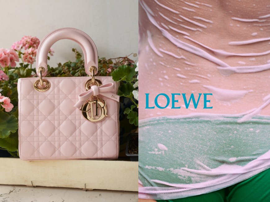 Dior「蝴蝶結黛妃包」實在太可愛　LOEWE用小褲褲吐露西班牙性感