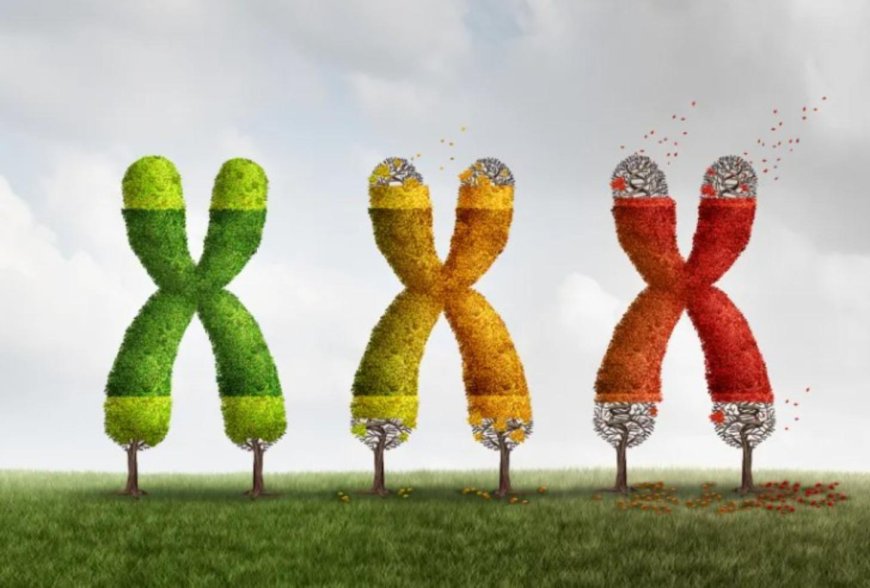 解密兒童癌症：ALT 癌細胞如何延長端粒、逃避免疫系統？