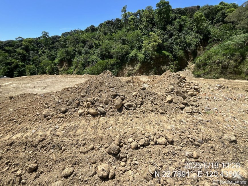 大樹統嶺山林遭剃頭光禿一片　2人聲押1人竟是前檢察官