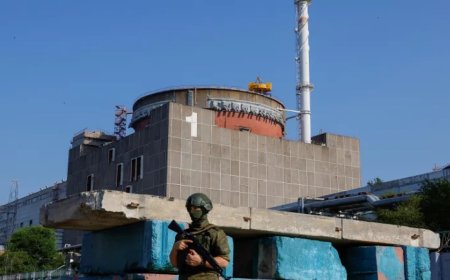 乌克兰总统泽连斯基称扎波罗热核电站局势“危急”