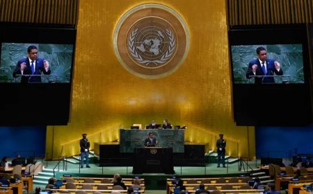 联合国大会：世界各国领导人对以色列对加沙的战争有何评论？