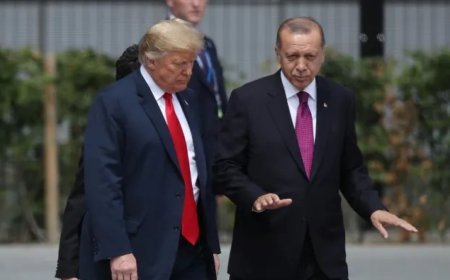 在特朗普和埃尔多安会晤的幕后发生了什么？