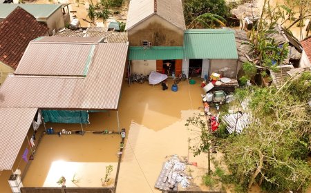 台风“博罗依”在越南和菲律宾造成数十人死亡