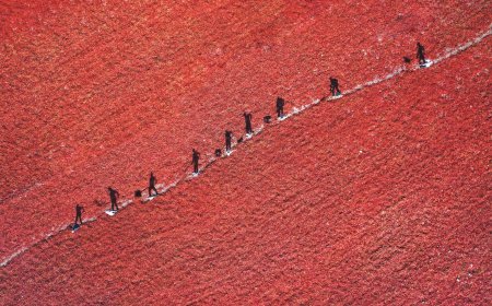 新疆的现代建设，超乎很多人的想象