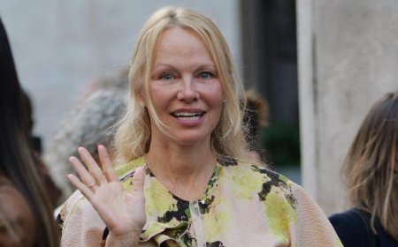Pamela Anderson's Fans Approve Of Her Shocking Switch From Signature Hair