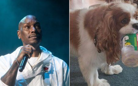 ‘Fast & Furious’ actor Tyrese Gibson faces arrest warrant after dogs allegedly kill neighbor's pet