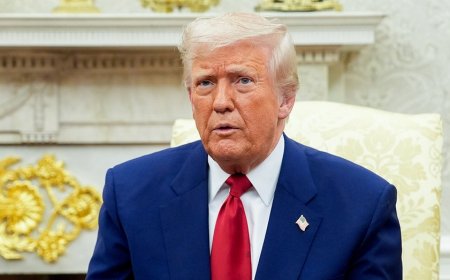 Politico reporter under fire after social media posts attacking Trump, MAGA voters resurface