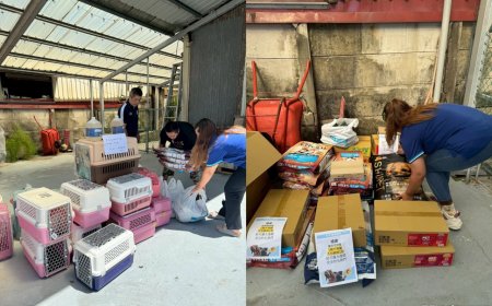 東森寵物為光復毛孩加油！　顧客一句話店長募集千份糧送災區