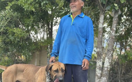 超強大哥肉身抵抗洪水！忠犬伴游500m逃命　沒救到「小麗」鼻酸