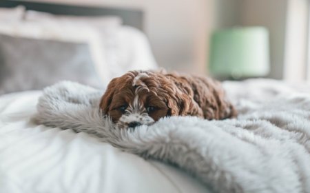 總是覺得很累、身體厭世？14種日常習慣恐是疲勞元凶