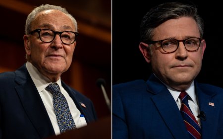 Speaker Johnson blames House Dems for 'terribly selfish' government shutdown