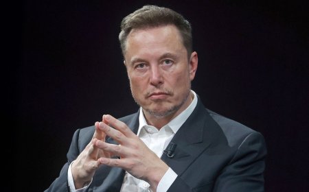 Musk joins Netflix exodus over pro-trans cartoon, whose creator was accused of condemning Charlie Kirk