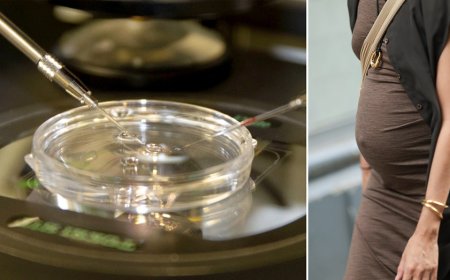 Skin DNA breakthrough could let 60-year-old women have genetically related kids