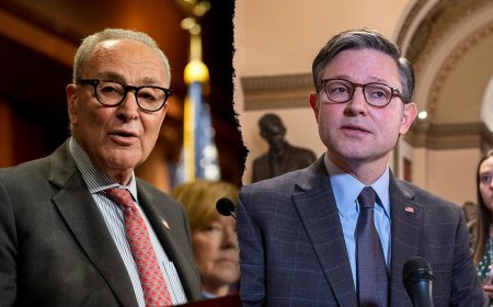 Johnson accuses Schumer of blocking ‘real discussion’ to keep government open