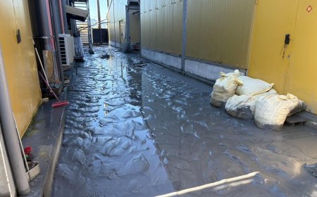 暴雨過後別踩積水！專科醫提醒：恐引發「類鼻疽」感染