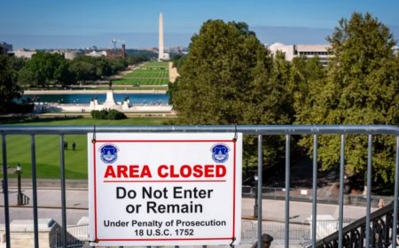 事实核查：美国2025年政府停摆的讨论要点