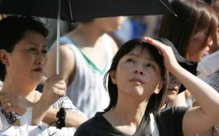 世界主要国家首都极端高温天数惊人增加